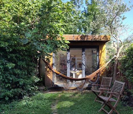 A glass windowed office, framed by a fig tree and an olive tree in a garden.